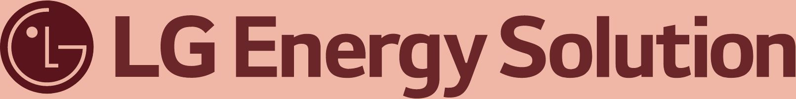 LG Energy Solution